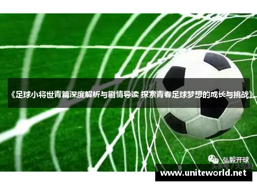 《足球小将世青篇深度解析与剧情导读 探索青春足球梦想的成长与挑战》